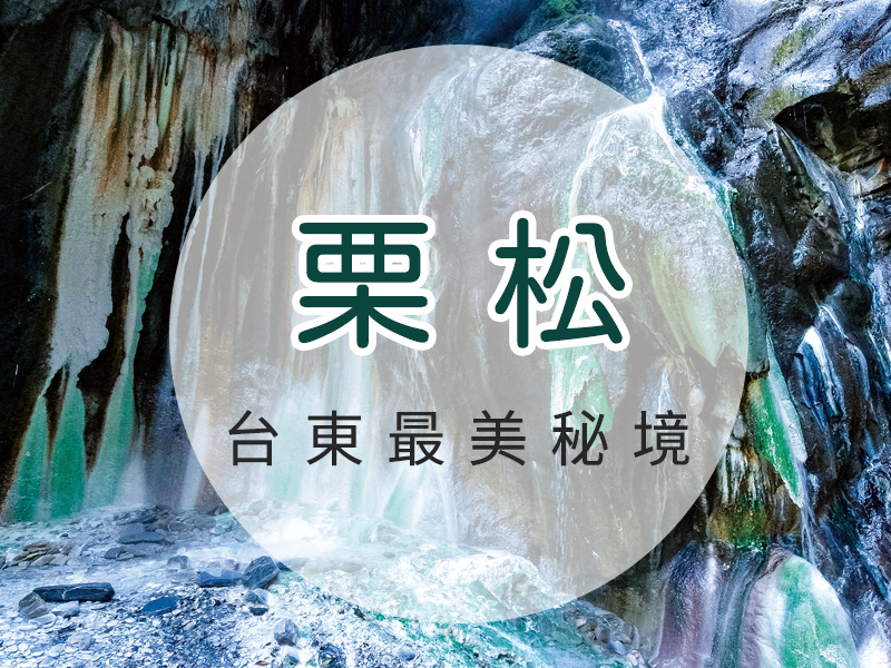 台東栗松